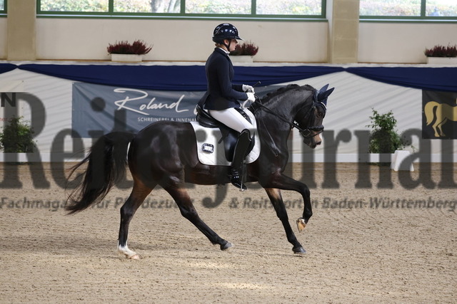 Ising_2025_Prfg.Nr.20_Pony-Dressurprfg.Kl.L_Kür_Victoria Vorreiter_Snowflake Narducci (8) | Alle Fotos der Reiterjournal Fotografin Doris Matthaes im Reiterjournal Online-Fotoshop. - Realisiert mit Pictrs.com