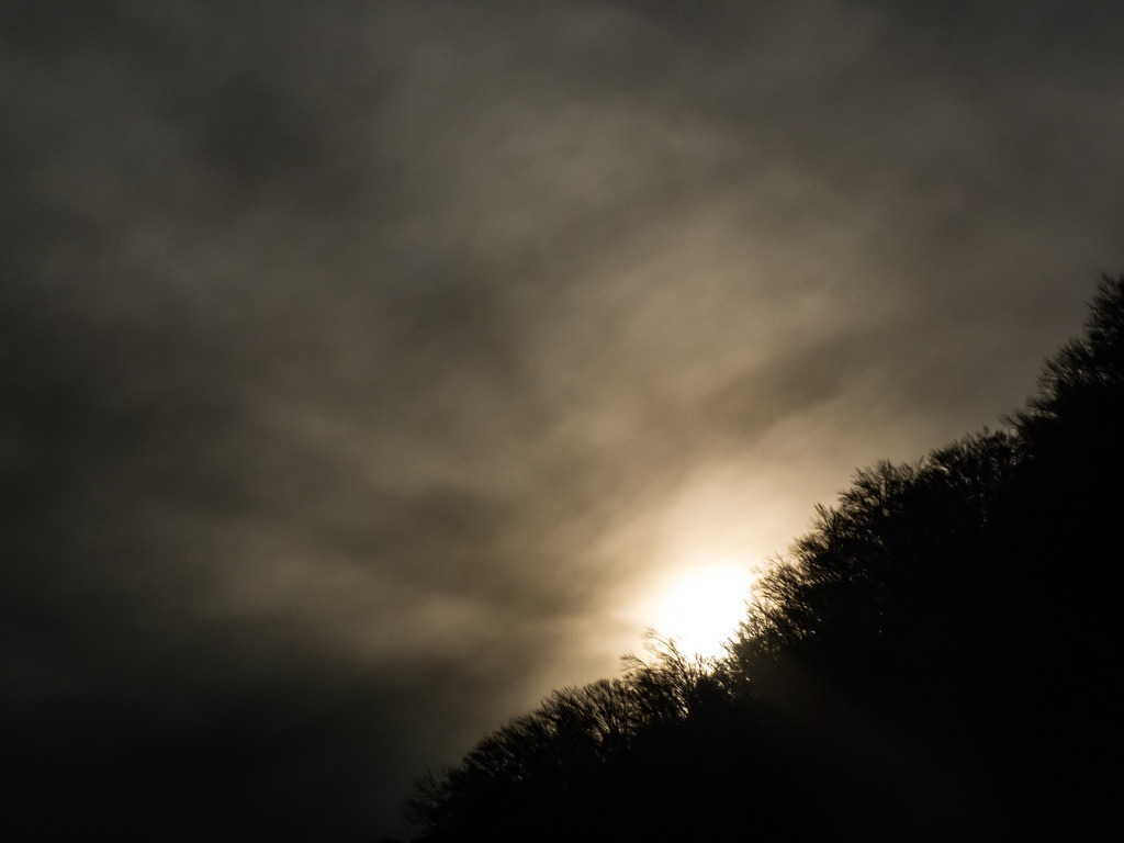 PSX_20230319_000713 | mtkfoto_ - Realisiert mit Pictrs.com