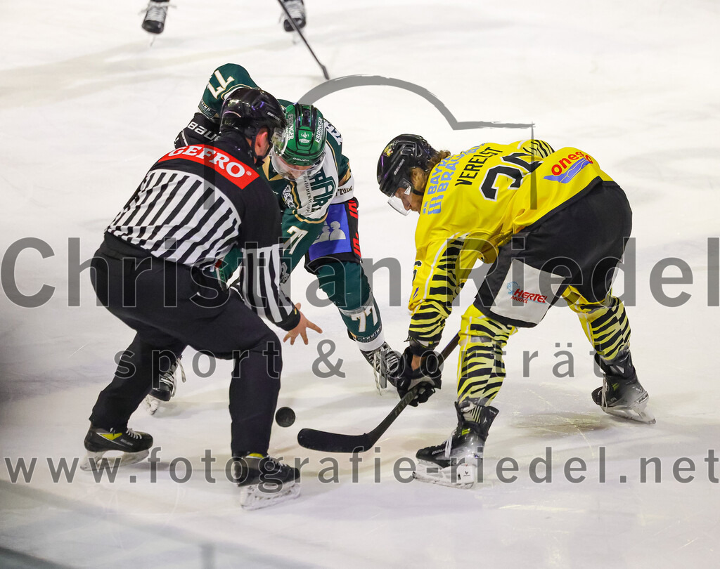 2025-12-28_107_TSV_Erding_gegen_onesto_Tigers_Bayreuth | Erding, Deutschland, 28.12.2025:Eishockey, Oberliga Süd 2025 / 2026, 31. Spieltag, TSV Erding gegen onesto Tigers Bayreuth, Endergebnis: 6:5 n.V.Philipp Michl (Erding Gladiators, #77)Foto: Christian Riedel / fotografie-riedel.net