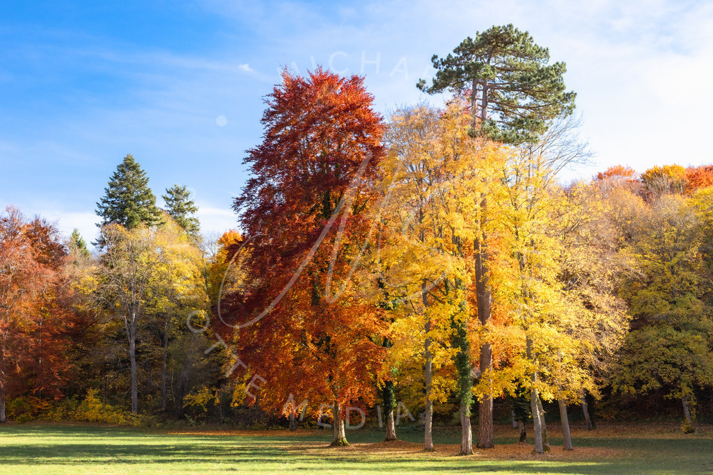 2021-10-31 2021-10-31 Burg Lichtenstein - 009 | Herbstfarben - Realisiert mit Pictrs.com