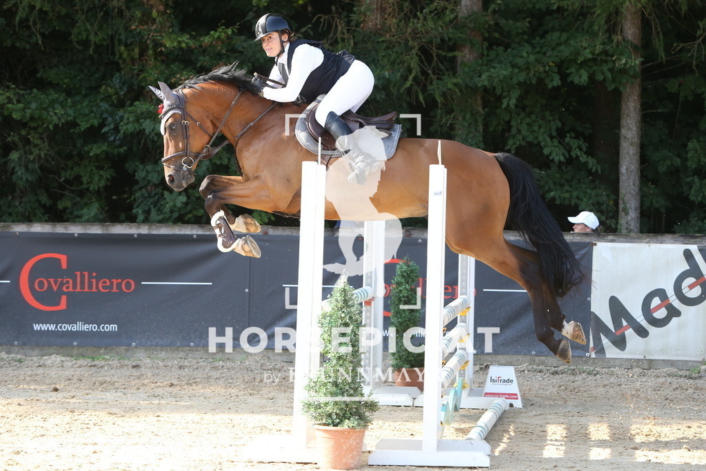 DL2Q0223 | Willkommen bei Brunnmayr - Design & Fotografie – Ihrem Spezialisten für Reitturniere und Pferdeveranstaltungen in Oberösterreich, Salzburg und Bayern! Seit über 17 Jahren sind wir leidenschaftlich dabei.