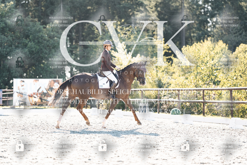 CK906543 | Turnierfotografie Pferdefotografie Trier Rheinland-Pfalz Pferdesport Reitsport Tierfotografie Sportfotografie Pferdevideo Pferdevideografie Equestrianvideography equestrianphotography  - Realisiert mit Pictrs.com