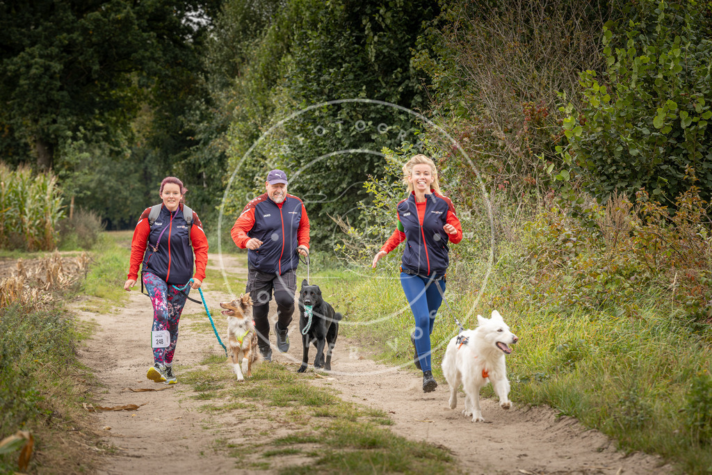 Pfotenfotografie_DV3A7988 | Hundefotografie, Tierfotograf, Pfotenfotografie, Fotoshooting Hund, Hunde Portrait, Hundesport, Hundeportraits, Heideshooting, Hunde, Sportfotograf, Hundefotograf, Turnierhundsport, THS,  - Realisiert mit Pictrs.com