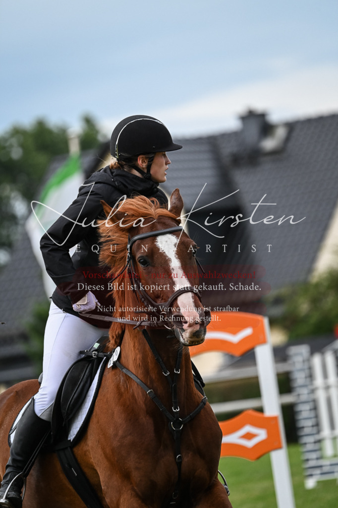 DSC_8375 | Pferde- und Turnierfotografie in Westsachsen. Pferdeportraits, Auftragszeichnungen und intuitive Kunst.