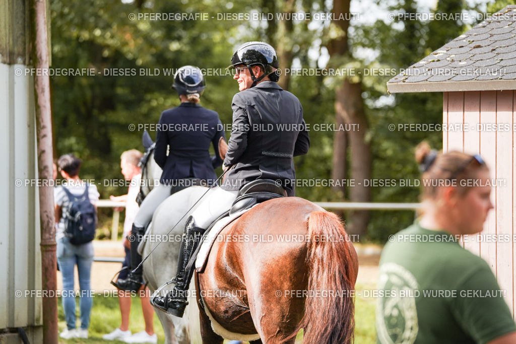 DSC02913 | Pferdegrafie