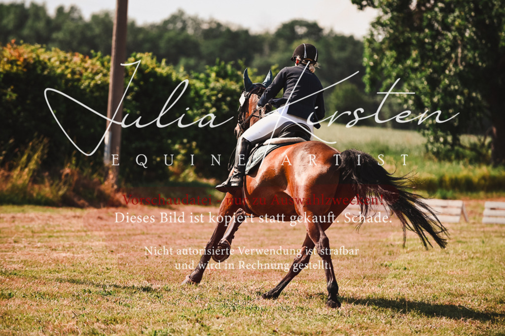DSC_7384 | Pferde- und Turnierfotografie in Westsachsen. Pferdeportraits, Auftragszeichnungen und intuitive Kunst.