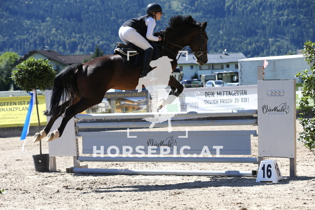 DL2Q0759 | Willkommen bei Brunnmayr - Design & Fotografie – Ihrem Spezialisten für Reitturniere und Pferdeveranstaltungen in Oberösterreich, Salzburg und Bayern! Seit über 17 Jahren sind wir leidenschaftlich dabei.