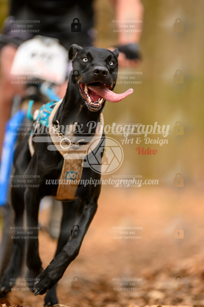 MompixPhotography_Habay2025_SA_Bike-137 | mompixphotography