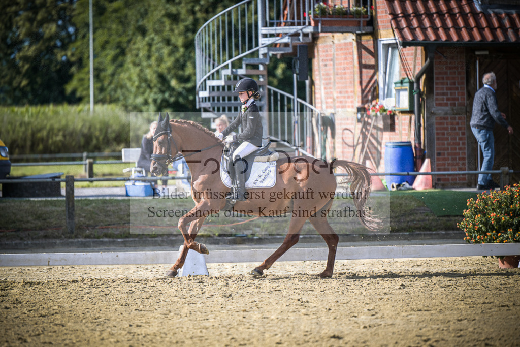 DOS_0472 | Entdecke hochwertige Reitturnierfotos von Foto Oger. Professionell, emotional und authentisch – jetzt Lieblingsmomente im Shop bestellen.Deutschlandweite Turnierfotografie. - Realisiert mit Pictrs.com