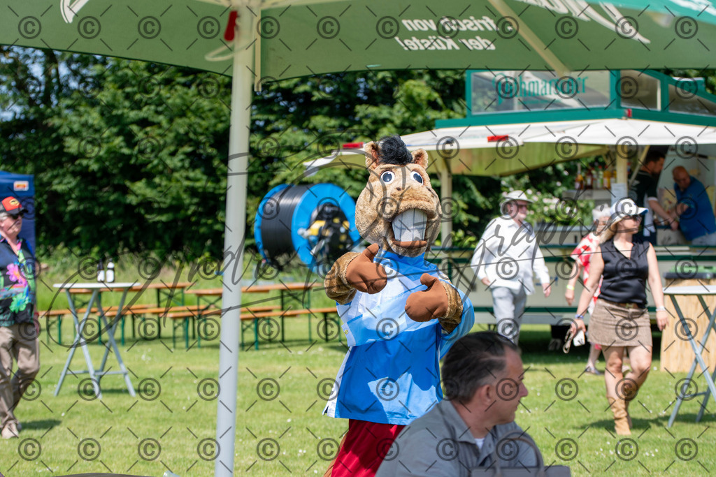 POL_2197 | andre_photographic