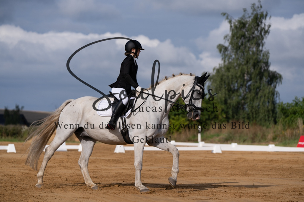 A7V05146 | Pferdefotograf