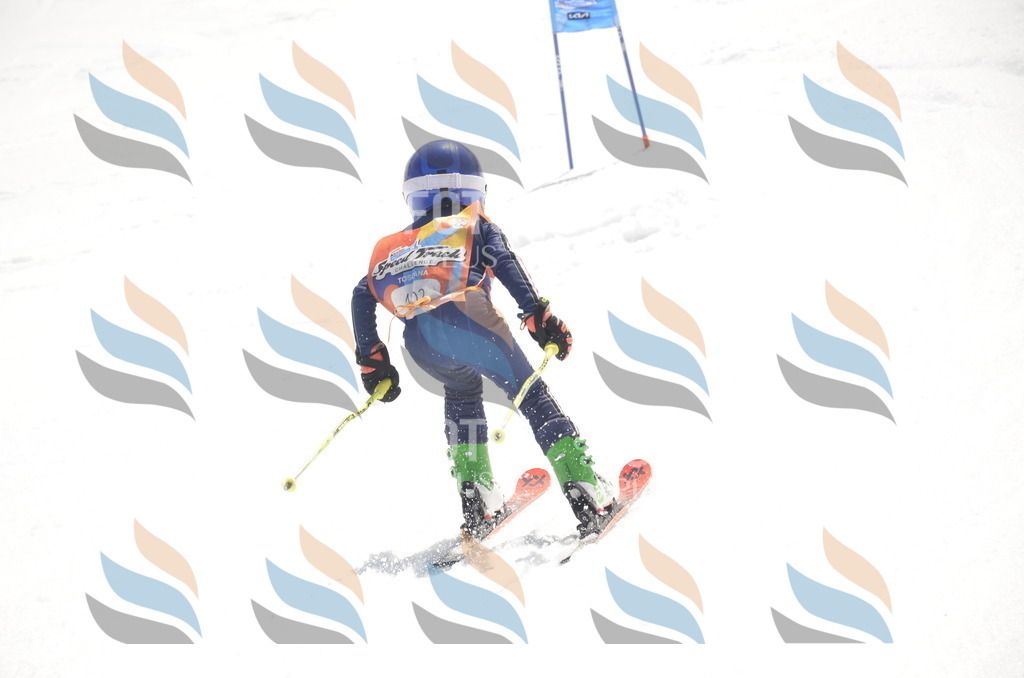 _ELE9392 | holidayphoto