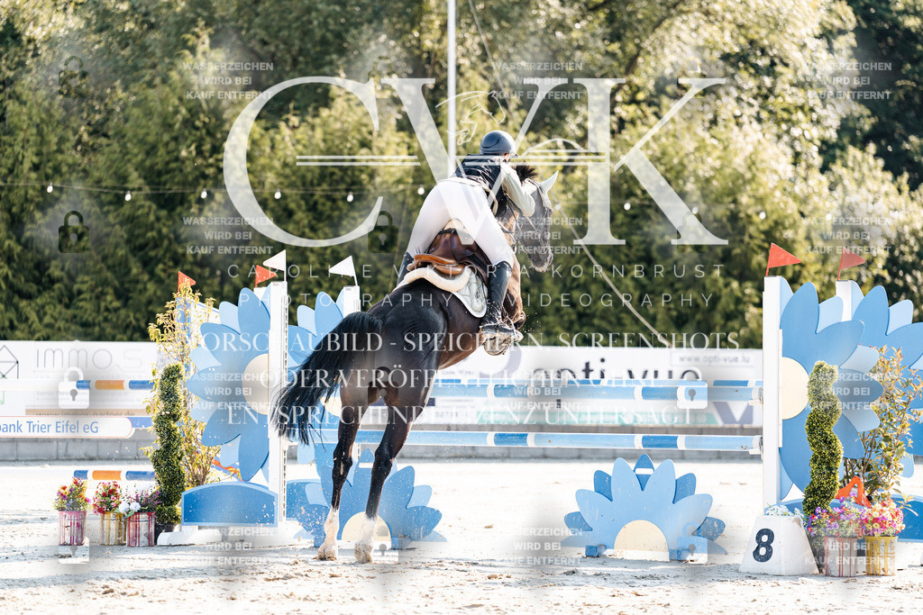 CK901651 | Turnierfotografie Pferdefotografie Trier Rheinland-Pfalz Pferdesport Reitsport Tierfotografie Sportfotografie Pferdevideo Pferdevideografie Equestrianvideography equestrianphotography  - Realisiert mit Pictrs.com
