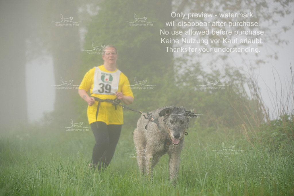 SA_GL2-242 | stephaniefillaphotographie - Realisiert mit Pictrs.com