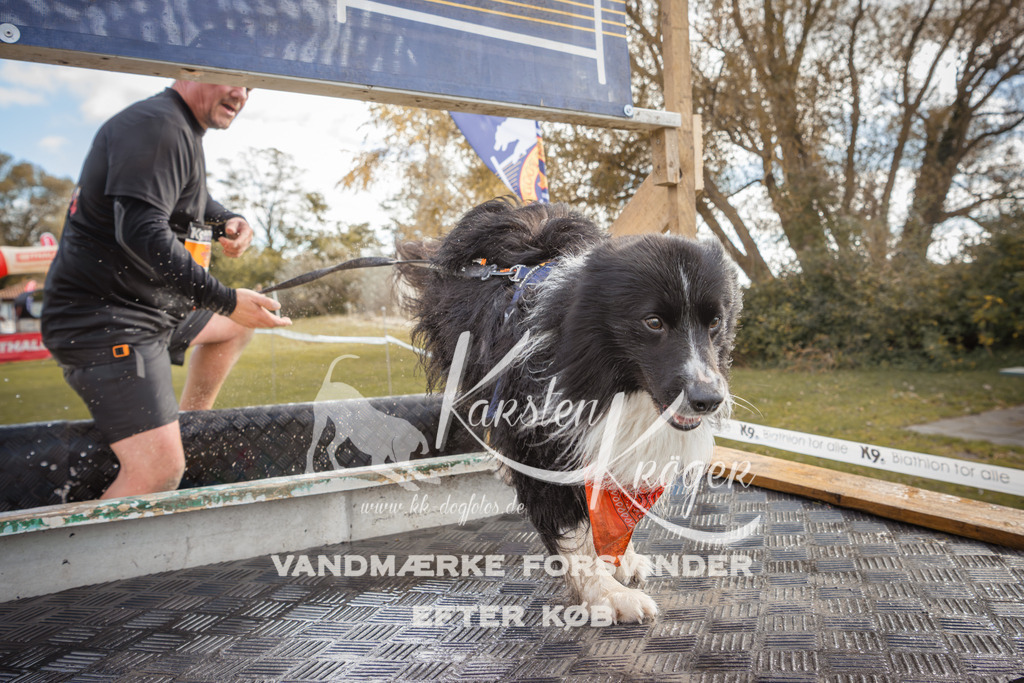 1327_ZZ90901-2 | kk-dogfotos
