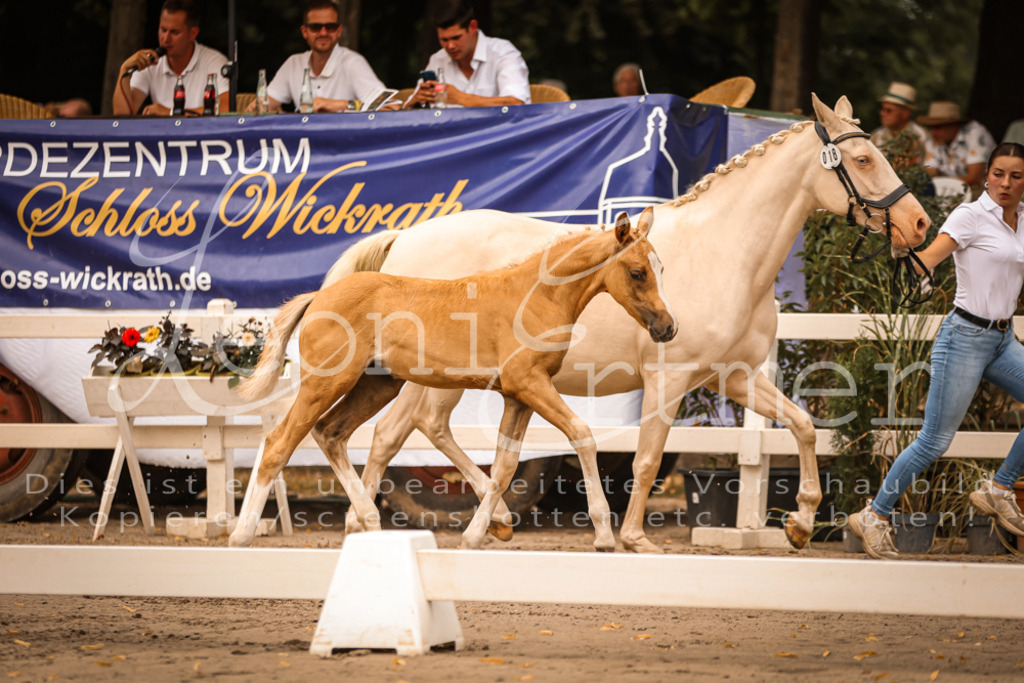 SaPA00246 | Leoni Ertmer Photography - Realisiert mit Pictrs.com