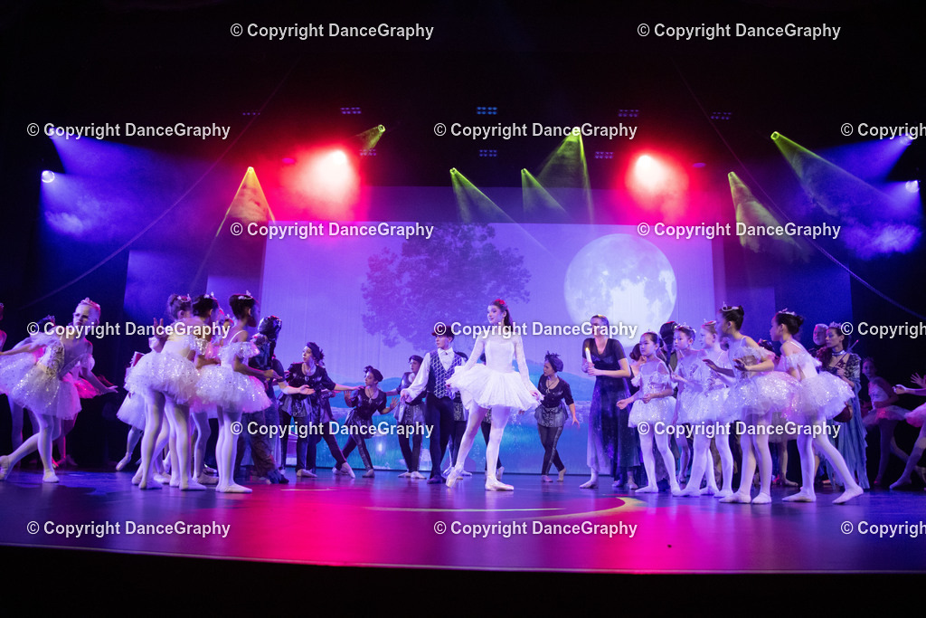 GPHY3438 | DanceGraphy - Realisiert mit Pictrs.com