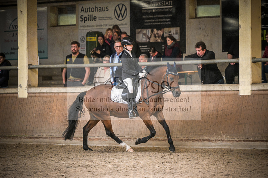 DOS_0160 | Entdecke hochwertige Reitturnierfotos von Foto Oger. Professionell, emotional und authentisch – jetzt Lieblingsmomente im Shop bestellen.Deutschlandweite Turnierfotografie. - Realisiert mit Pictrs.com