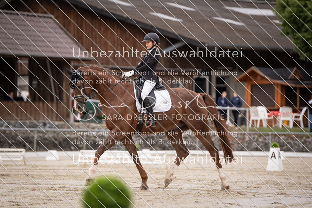 SD_OED_03085 | saradresslerfotografie - Realisiert mit Pictrs.com
