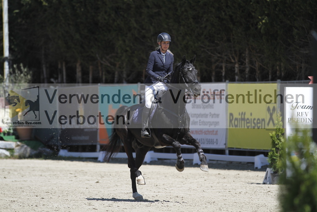 _MG_5736 | equestrian-live-com
