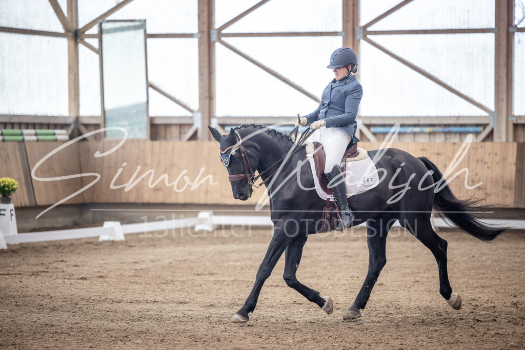 20251011-_3LI1143 | Tierfotografie Pferde, Hunde, Katzen, Haustiere.
Turnierfotografie Reitturniere, Reiten, Springreiten, Dressur in Hanau, dem Main-Kinzig-Kreis und dem Rhein-Main- Gebiet um Frankfurt