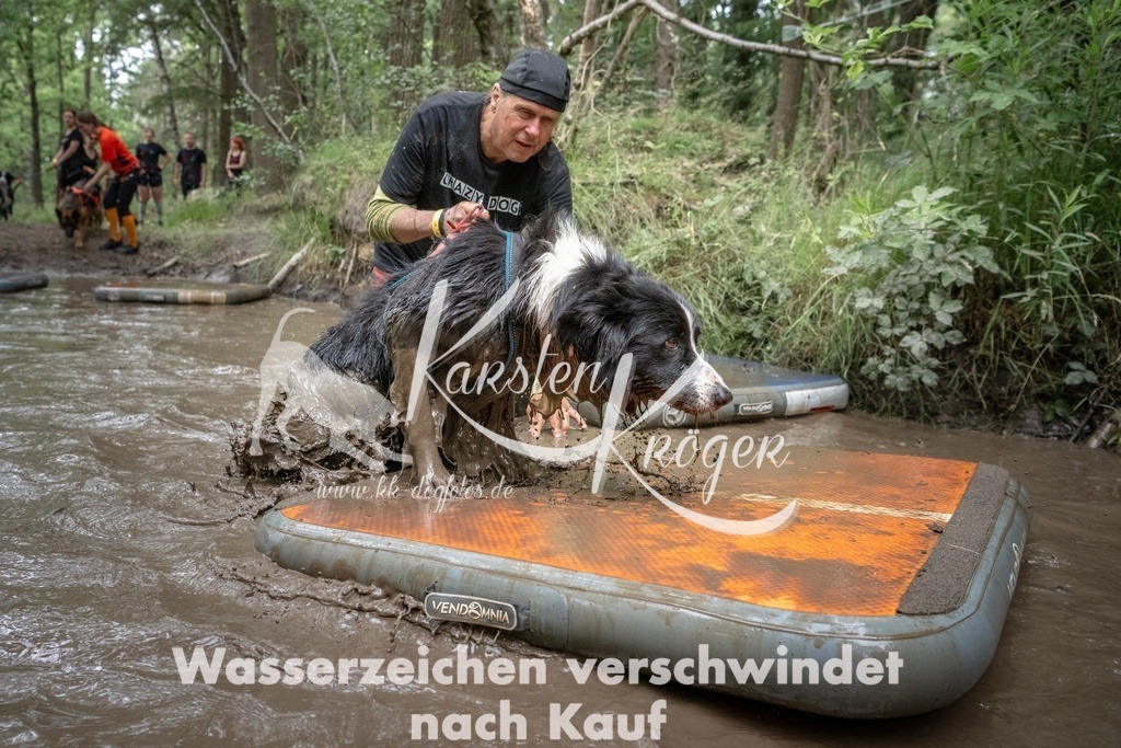 1300_ZZ91991T | kk-dogfotos