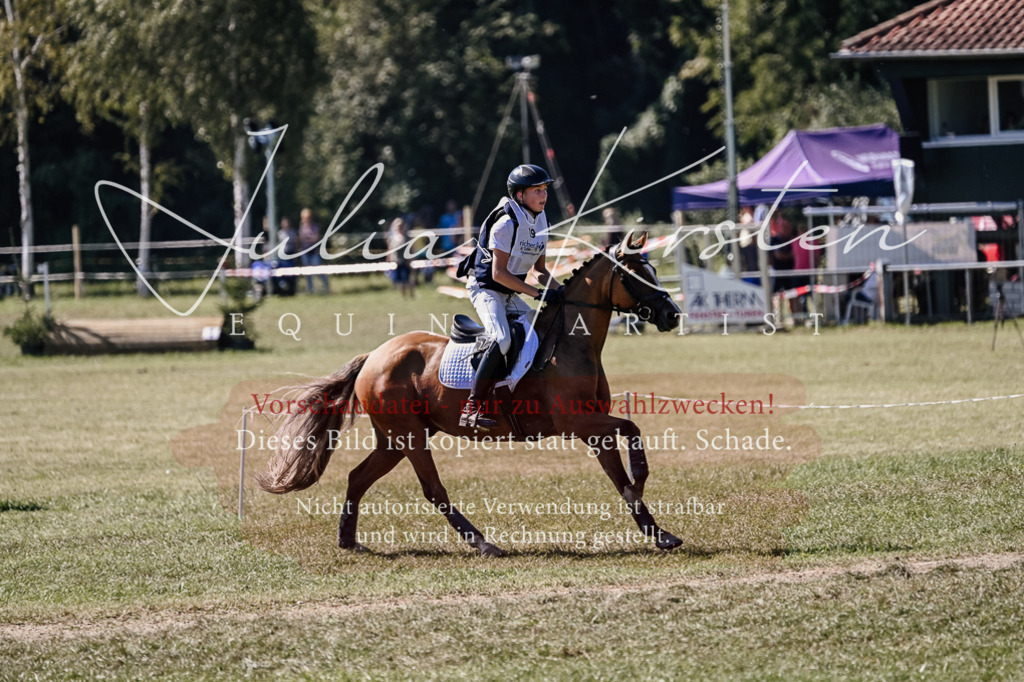 DSC_2089 | Pferde- und Turnierfotografie in Westsachsen. Pferdeportraits, Auftragszeichnungen und intuitive Kunst.