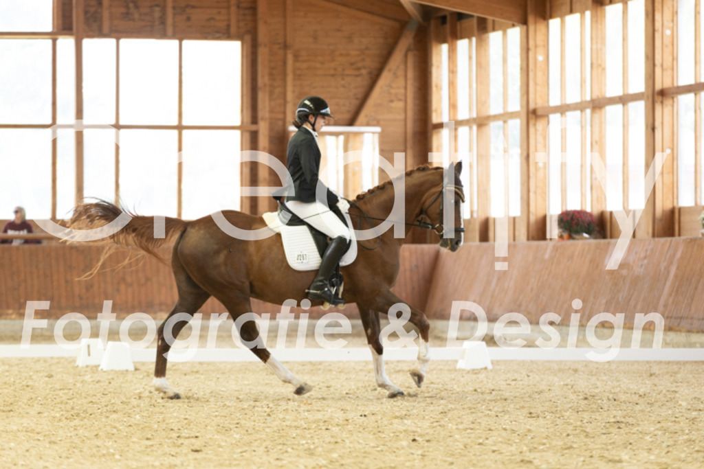 IMG_1411 | Creatify Fotografie