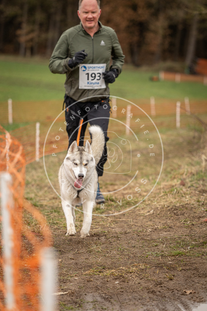 DV3A2736 | Hundefotografie, Tierfotograf, Pfotenfotografie, Fotoshooting Hund, Hunde Portrait, Hundesport, Hundeportraits, Heideshooting, Hunde, Sportfotograf, Hundefotograf, Turnierhundsport, THS,  - Realisiert mit Pictrs.com