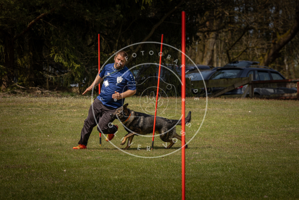 Pfotenfotografie_DV3A4742 | Hundefotografie, Tierfotograf, Pfotenfotografie, Fotoshooting Hund, Hunde Portrait, Hundesport, Hundeportraits, Heideshooting, Hunde, Sportfotograf, Hundefotograf, Turnierhundsport, THS,  - Realisiert mit Pictrs.com