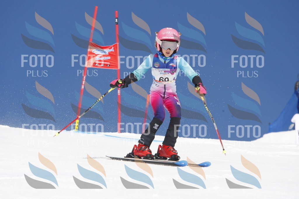 _W1G1012 | holidayphoto