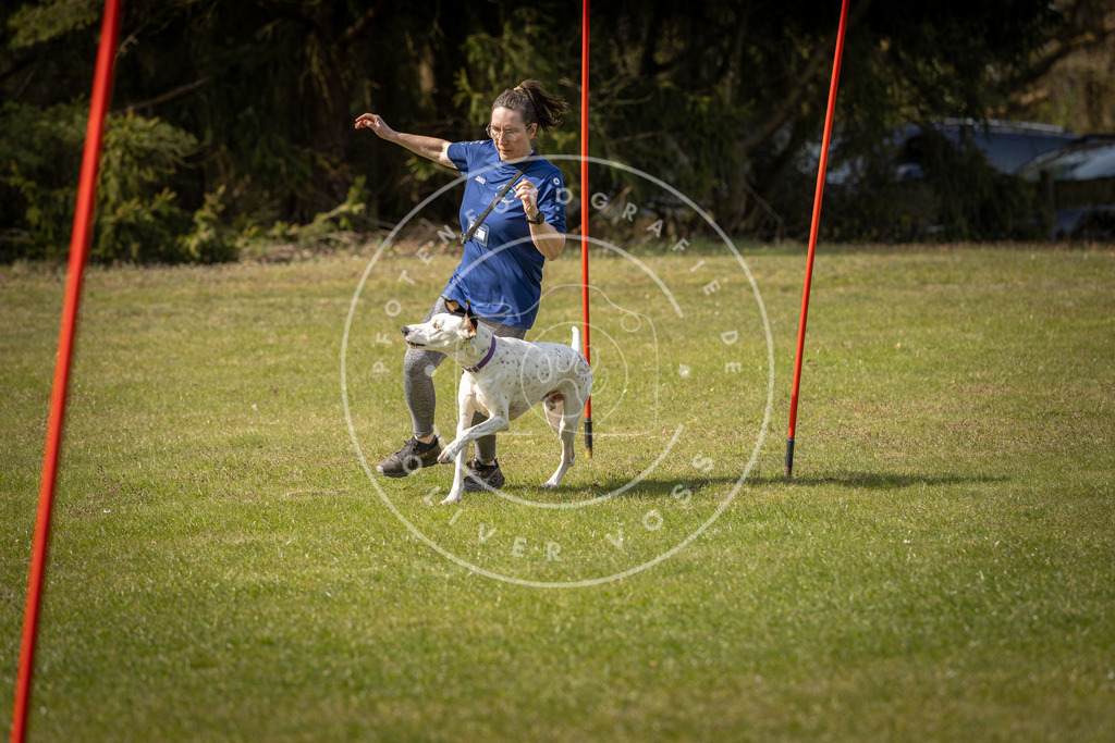 Pfotenfotografie_DV3A0043 | Hundefotografie, Tierfotograf, Pfotenfotografie, Fotoshooting Hund, Hunde Portrait, Hundesport, Hundeportraits, Heideshooting, Hunde, Sportfotograf, Hundefotograf, Turnierhundsport, THS,  - Realisiert mit Pictrs.com