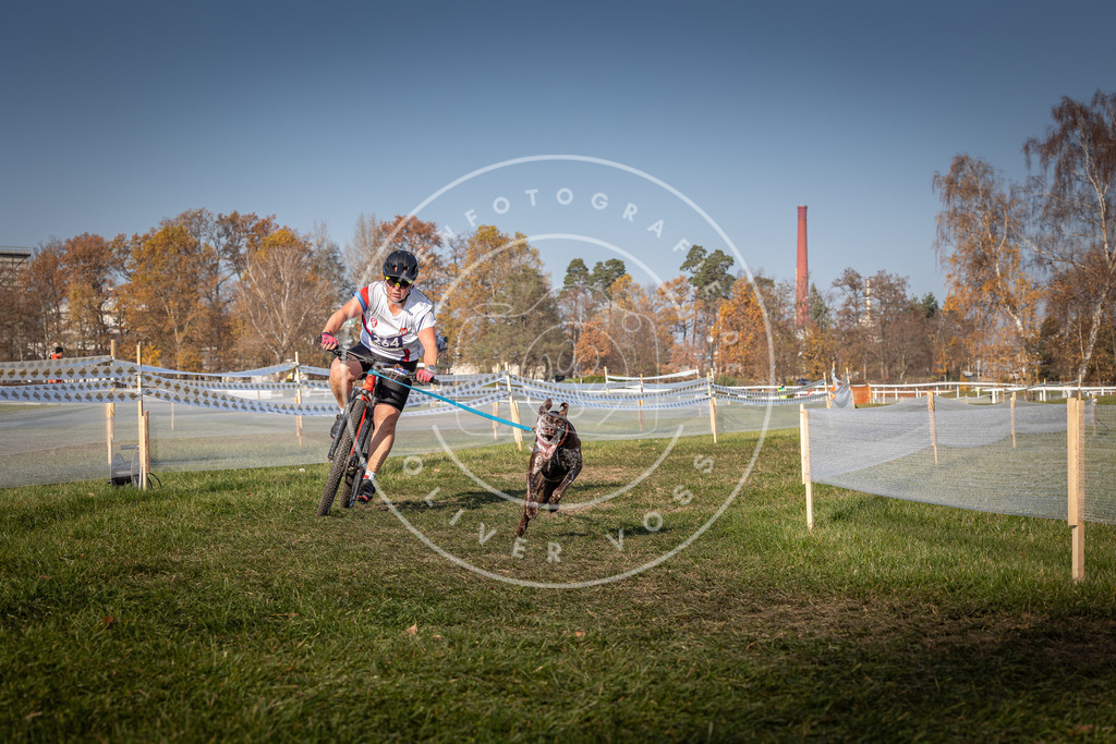 CaniXpix_0L8A7112 | Hundefotografie, Tierfotograf, Pfotenfotografie, Fotoshooting Hund, Hunde Portrait, Hundesport, Hundeportraits, Heideshooting, Hunde, Sportfotograf, Hundefotograf, Turnierhundsport, THS,  - Realisiert mit Pictrs.com