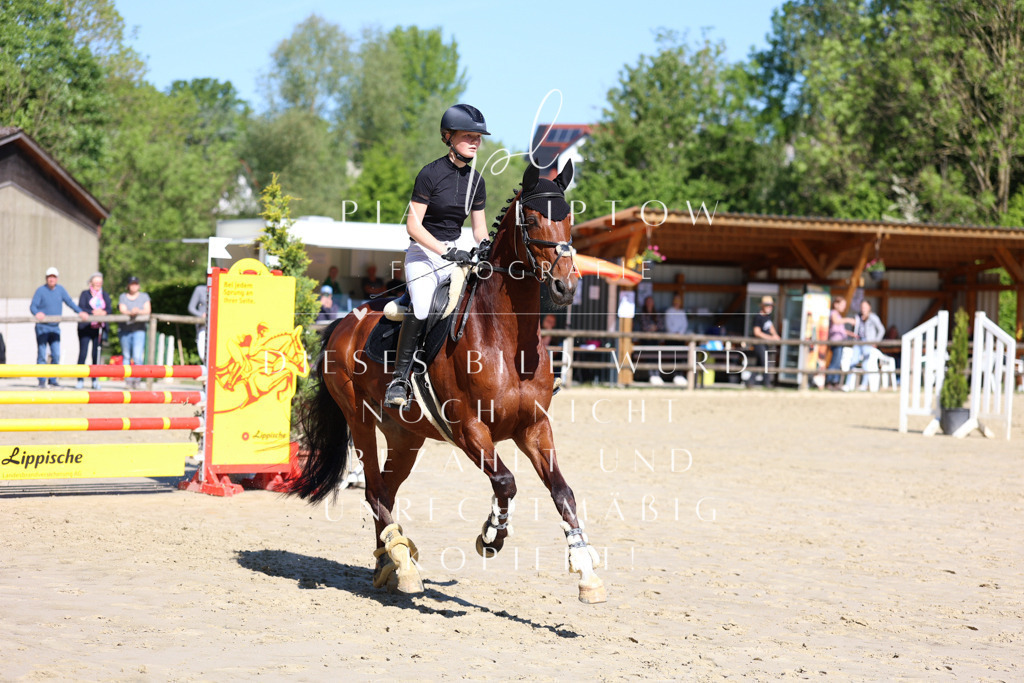 IMGS6795 | pl-fotografie