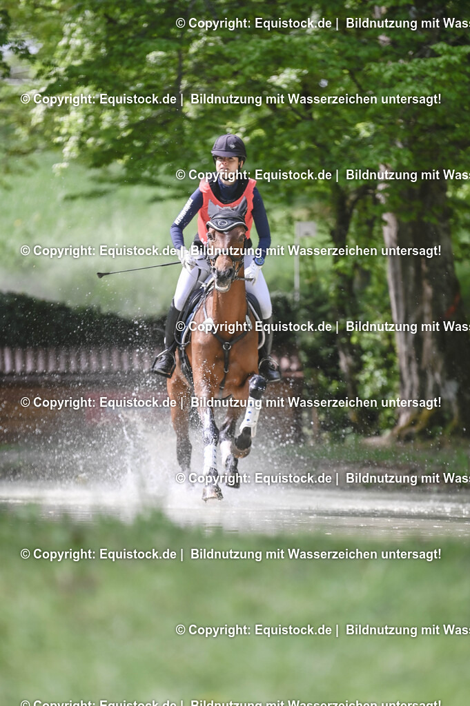 20250517_CCI2_Gelände_1080 | Foto: Thomas Hartig