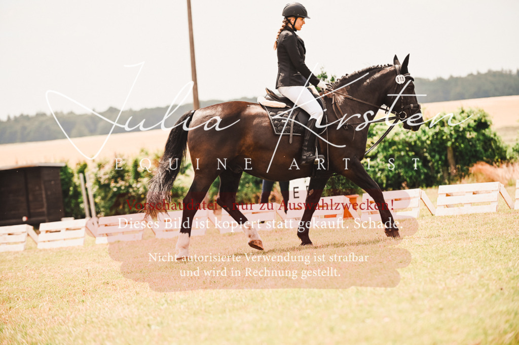 DSC_6191 | Pferde- und Turnierfotografie in Westsachsen. Pferdeportraits, Auftragszeichnungen und intuitive Kunst.