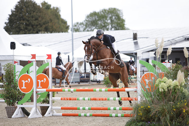 1J2A9827Henry Delfs_ Contaira_ Kn284_ Havekost | Foto- und Videografie für alles rund ums Pferd. Hochwertige Bilder und Videos vom Spring- und Dressurreiten, Voltigieren & mehr. Jetzt aktuelle Veranstaltungen und Preise im Shop ansehen. - Realisiert mit Pictrs.com