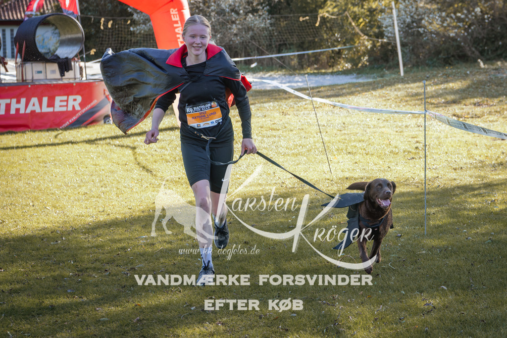 1230_ZZ96738-2 | kk-dogfotos