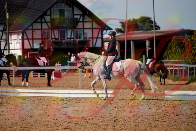 2026_10_03_Siefer-Hof_122703_Z63_47937049 | Professionelle Reitsport-, Turnier- und Eventfotografie von Robert Broda. Galerien mit ausgewählten und bearbeiteten Bildern direkt online ansehen und bestellen.