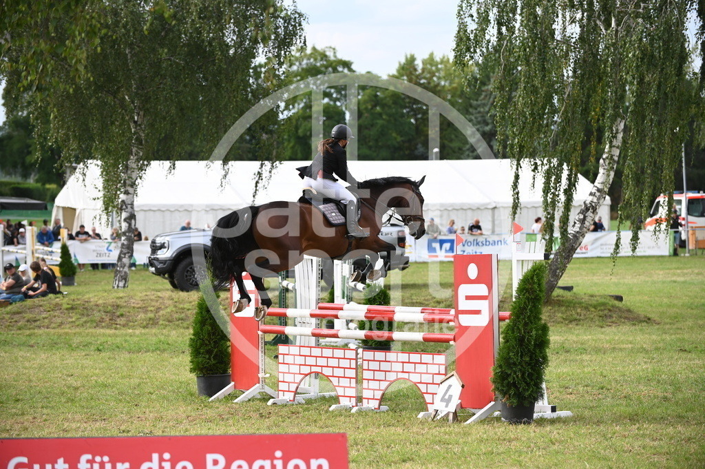 DSC_3490 | sattelsport - Realisiert mit Pictrs.com