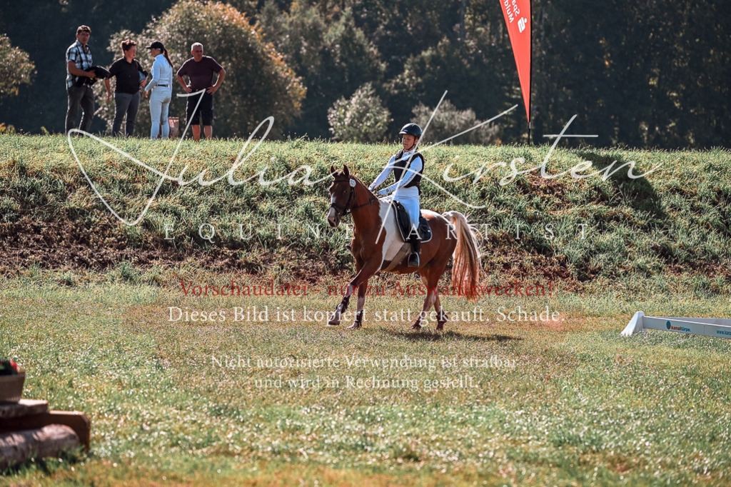 DSC_1015 | Pferde- und Turnierfotografie in Westsachsen. Pferdeportraits, Auftragszeichnungen und intuitive Kunst.