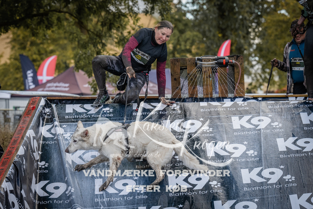 1537_ZZ90202 | kk-dogfotos