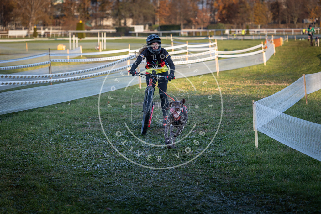CaniXpix_0L8A2333 | Hundefotografie, Tierfotograf, Pfotenfotografie, Fotoshooting Hund, Hunde Portrait, Hundesport, Hundeportraits, Heideshooting, Hunde, Sportfotograf, Hundefotograf, Turnierhundsport, THS,  - Realisiert mit Pictrs.com