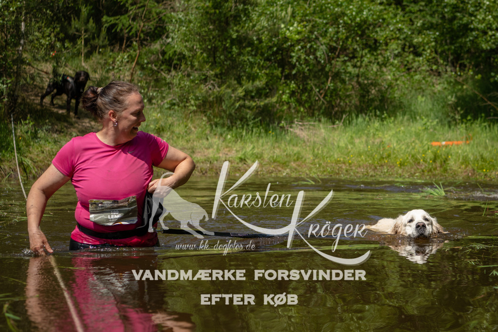 1257DKK993767 | kk-dogfotos