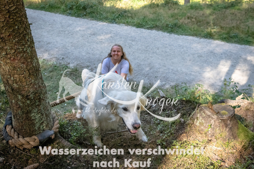 1131_ZZ90744 | kk-dogfotos