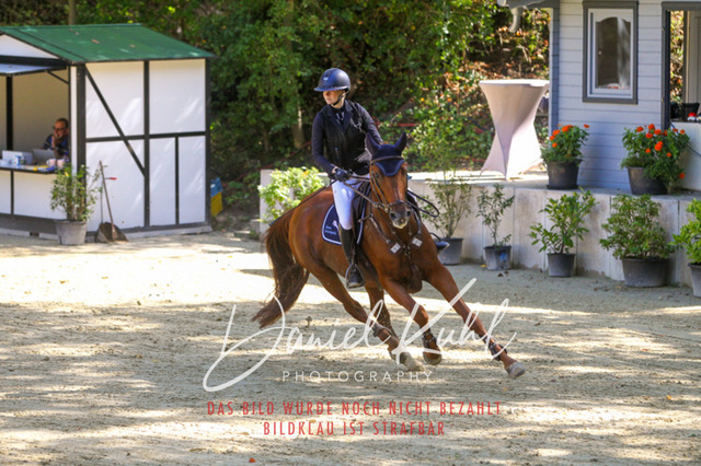 DKP43096 | Turniersportfotografie; Pferdefotografie; Dressurfotografie