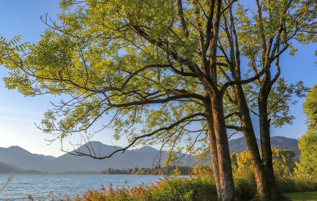 Am Tegernsee | fotografie-bernd-pfalzgraf - Realisiert mit Pictrs.com