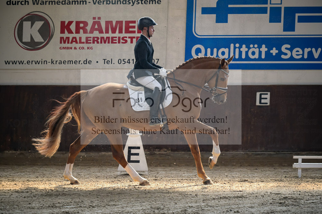 Reitturnier Voxtrup | Entdecke hochwertige Reitturnierfotos von Foto Oger. Professionell, emotional und authentisch – jetzt Lieblingsmomente im Shop bestellen.Deutschlandweite Turnierfotografie. - Realisiert mit Pictrs.com