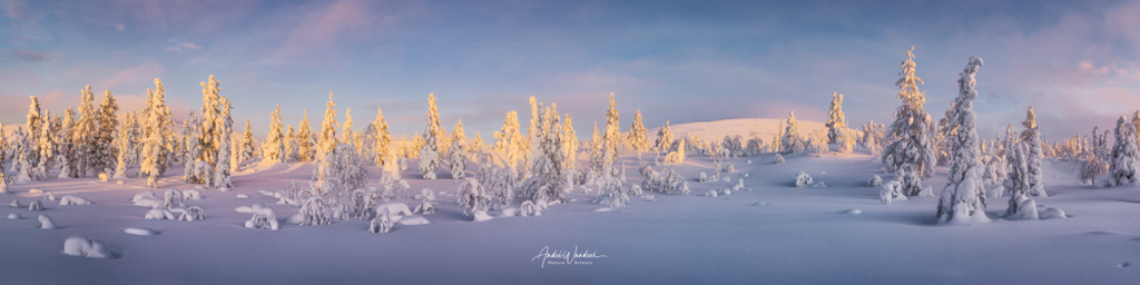 Wintermärchen (4 zu 1 Panorama) | Andre Wandrei - Nature Artworx - Realisiert mit Pictrs.com
