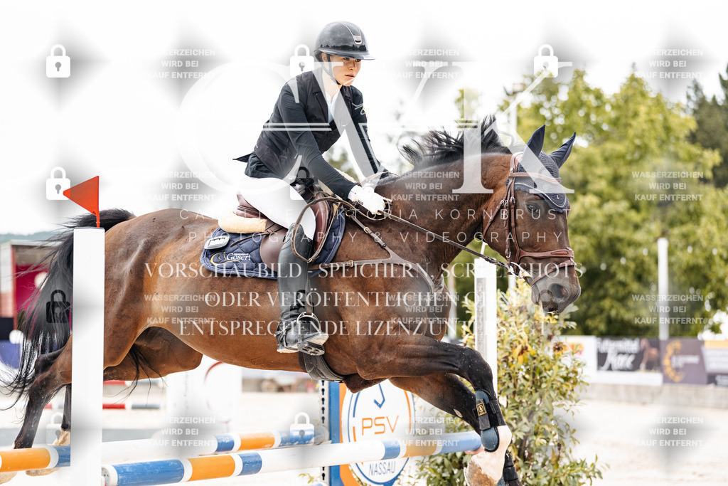 CK906389 | Turnierfotografie Pferdefotografie Trier Rheinland-Pfalz Pferdesport Reitsport Tierfotografie Sportfotografie Pferdevideo Pferdevideografie Equestrianvideography equestrianphotography  - Realisiert mit Pictrs.com